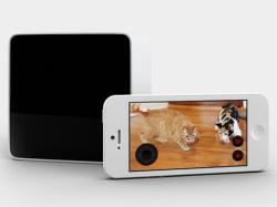 Український стартап PetCube отримав $ 1,1 мільйон для своїх гаджетів